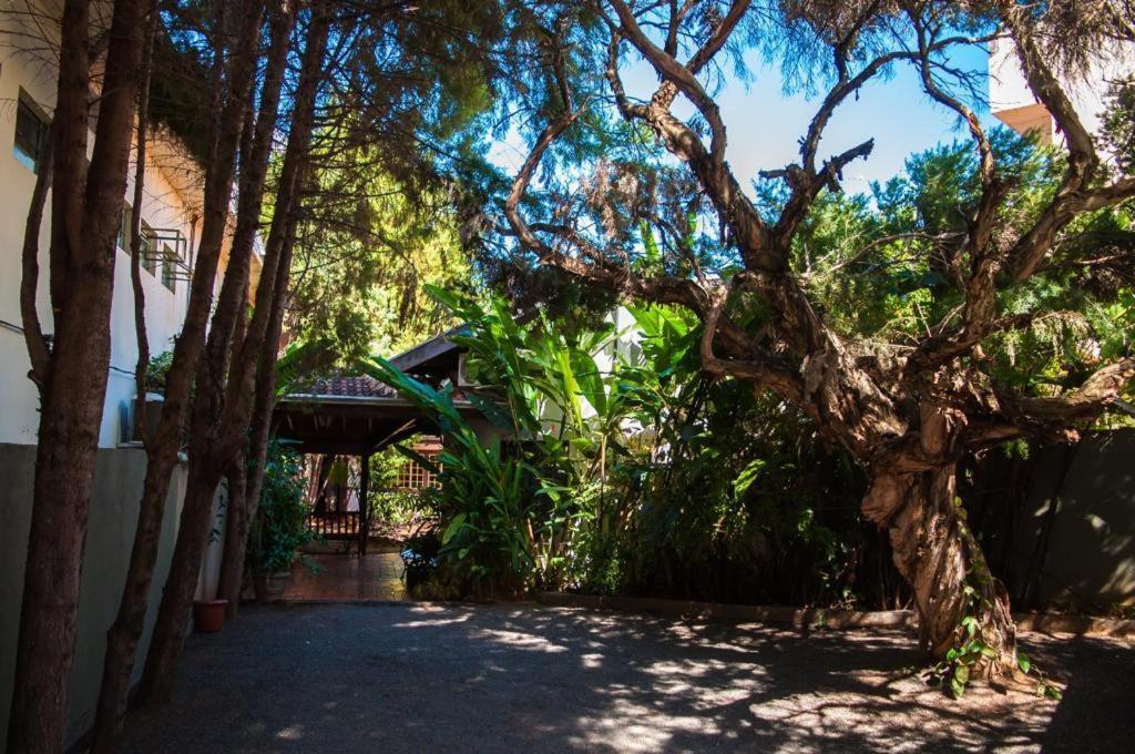 Galeria Hotel Pousada Jaguariúna Екстериор снимка